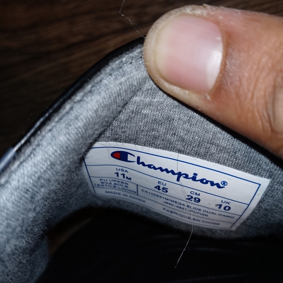 Champion Slides - Picture 5 of 6